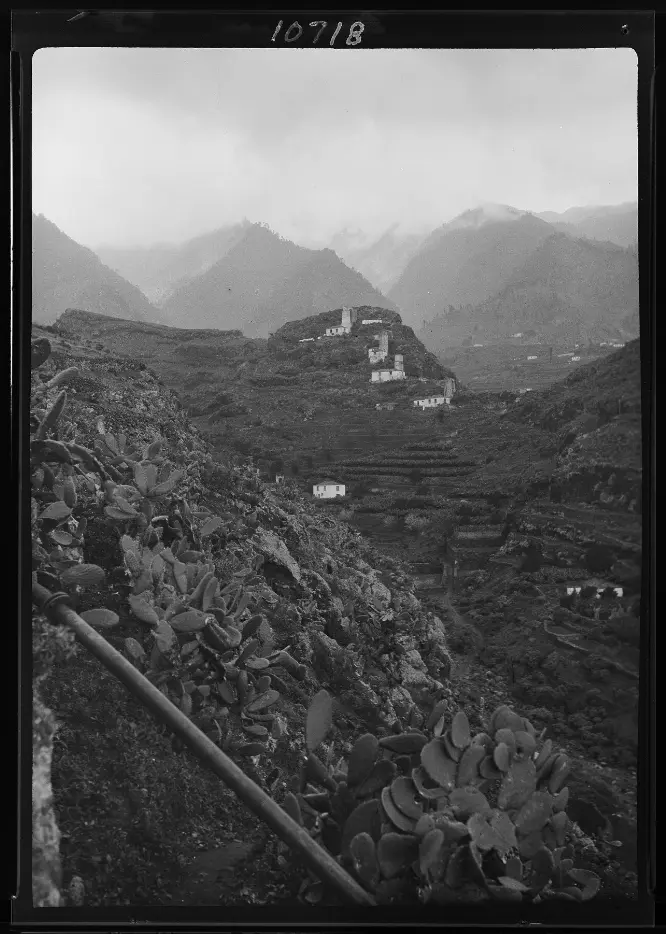 Molinos de Bellido
